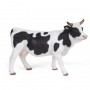 Black and White Cow