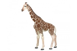 Safari Animals & Playsets