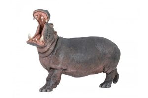 HIPPO-50051.jpg