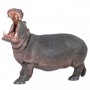 Hippo 1