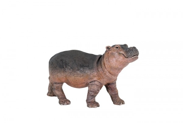 HIPPO-CALF-50052.jpg