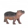 Hippo Calf 1