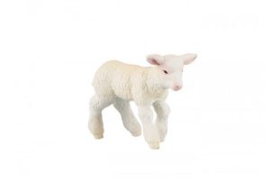 LAMB-51047.jpg