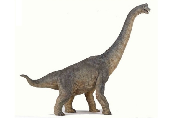 long neck dinosaur toy