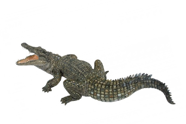 nile crocodile toy