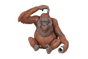 ORANGUTAN-50120-X.jpg