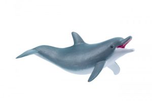 PLAYING-DOLPHIN-56004.jpg