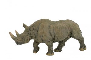 RHINO-50066.jpg