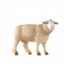 Sheep 1
