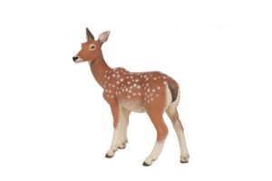 DOE-53014.jpg