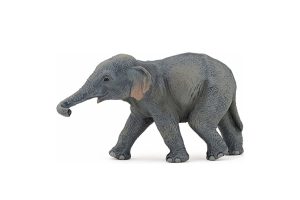 NEW-BABY-ASIAN-ELEPHANT-50132.jpg