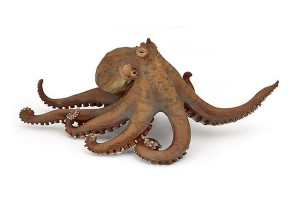 OCTOPUS 56013