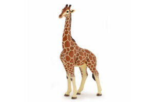 PAPO Giraffe