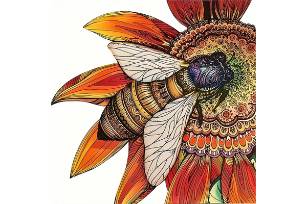 Hidden Shapes Puzzle: Sunflower Bee Hidden Shapes Puzzle: Sunflower Bee