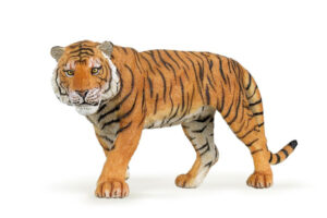 PAPO Tiger