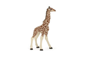 PAPO Giraffe Calf