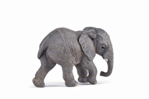 PAPO Young African Elephant