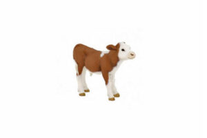 PAPO Simmental Calf