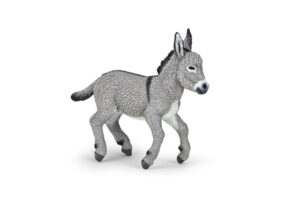 PAPO Donkey Foal