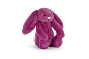 Bashful Allium Bunny