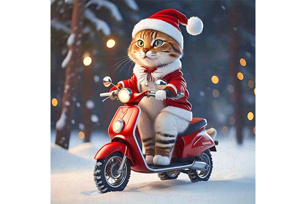 Hidden Shapes Puzzle - Christmas Scooter Kitty Hidden Shapes Puzzle - Christmas Scooter Kitty