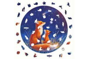 Hidden Shapes Wooden Puzzles