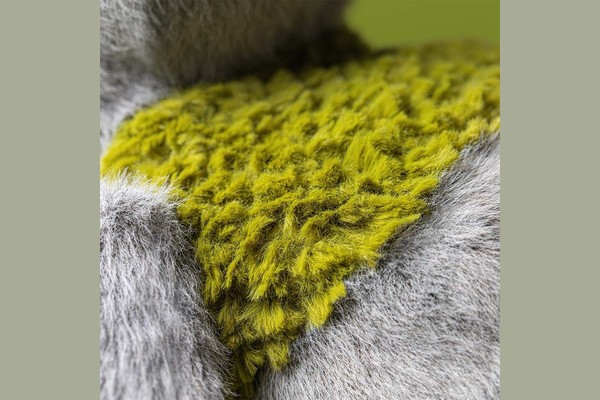 Jellycat Rockleton