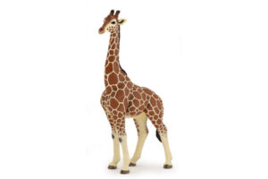 Male Giraffe by Papo Toys