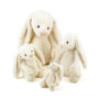 Bashful Cream Bunnies - Really Big, Huge, Large, Medium