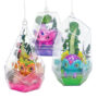 Nebulous Stars Air Diamond Terrariums - Hazelia